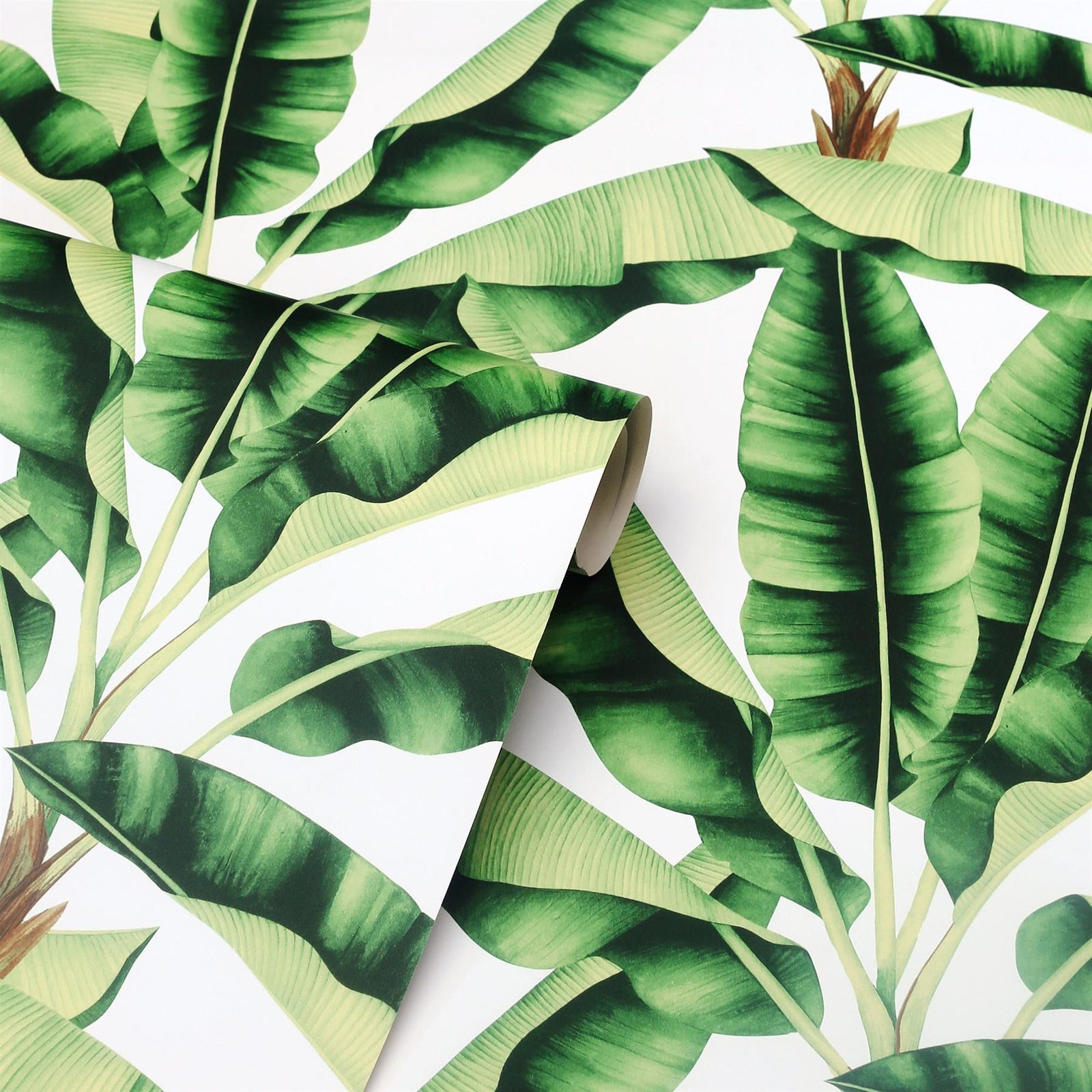 Arthouse Large Green Tropical Leaves Wallpaper - Cool Cream Background Makes The Exotic Print Stand Out - Stunning Island Style Wallpaper - Calming & Relaxing Sanctuary Feel - 909604