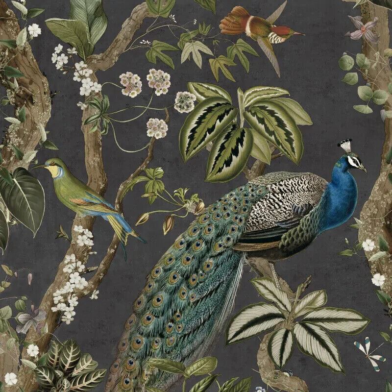 Holden Decor Peacock Woods Charcoal Wallpaper 13681 - Naturistic Feature Wall